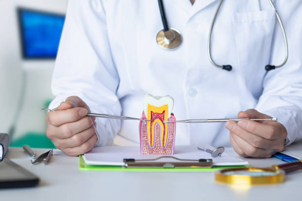 Best Broken Tooth Emergency  in Mount Vernon, IN